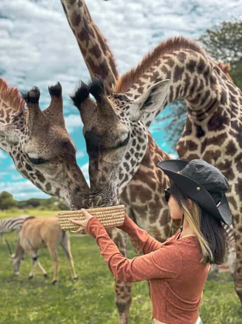 SERVAL WILDLIFE DAY - TOUR FROM ARUSHA, MOSHI OR ZANZIBAR. - Key Points