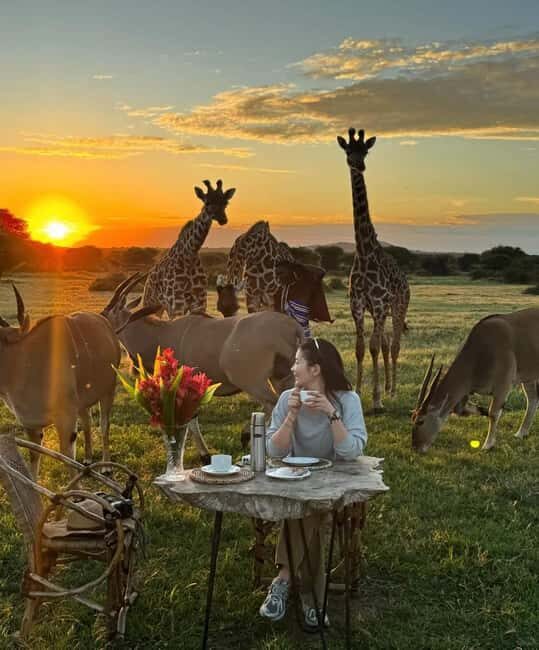 SERVAL WILDLIFE DAY - TOUR FROM ARUSHA, MOSHI OR ZANZIBAR. - The Full Picture: What You Can Expect