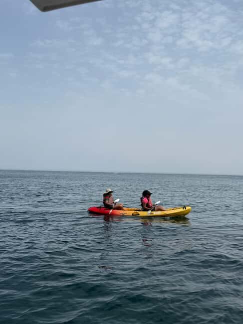 Sesimbra: Amazing Full-Day Tour with Boat Ride - Who Will Love This Tour?