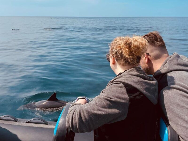 sesimbra-arrabida-dolphin-watching-boat-tour-with-biologist
