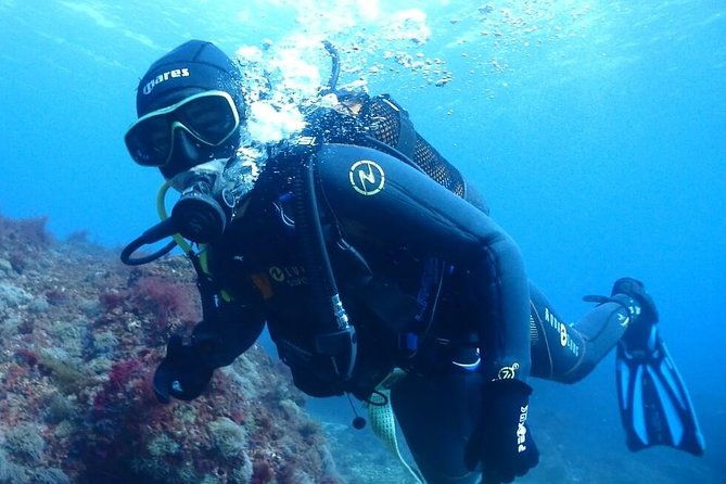 sesimbra-dive-discovery