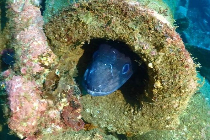 sesimbra-dive-discovery