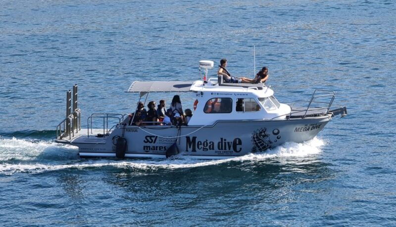 sesimbra-dolphin-watching-with-a-marine-biologist