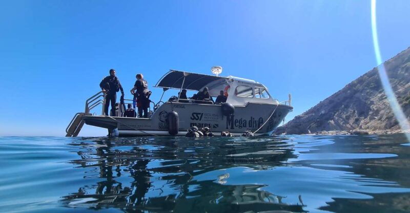 sesimbra-double-dive-on-a-marine-reserve