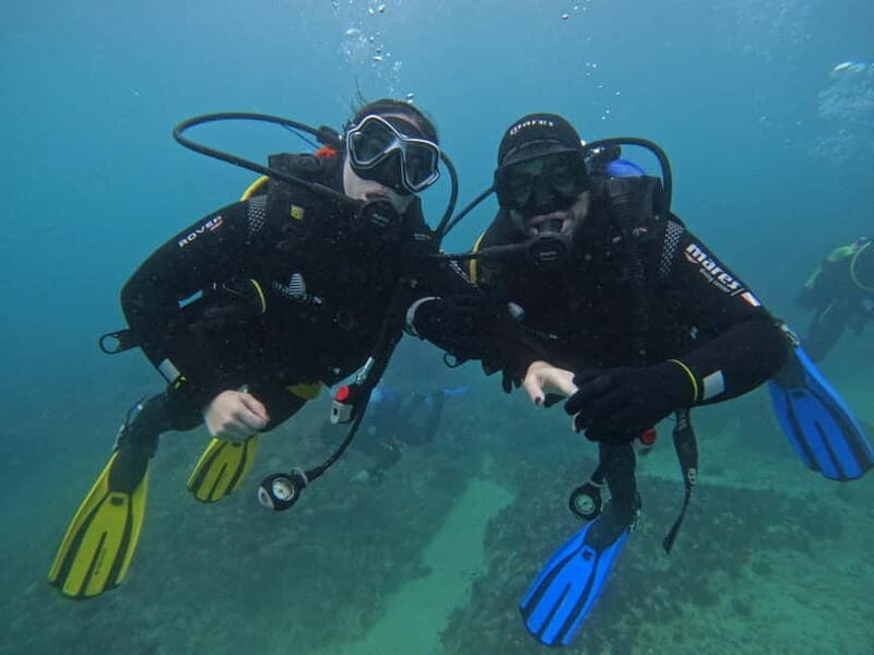 Sesimbra: Scuba Diving Experience with photos included - Who Will Love This Experience?