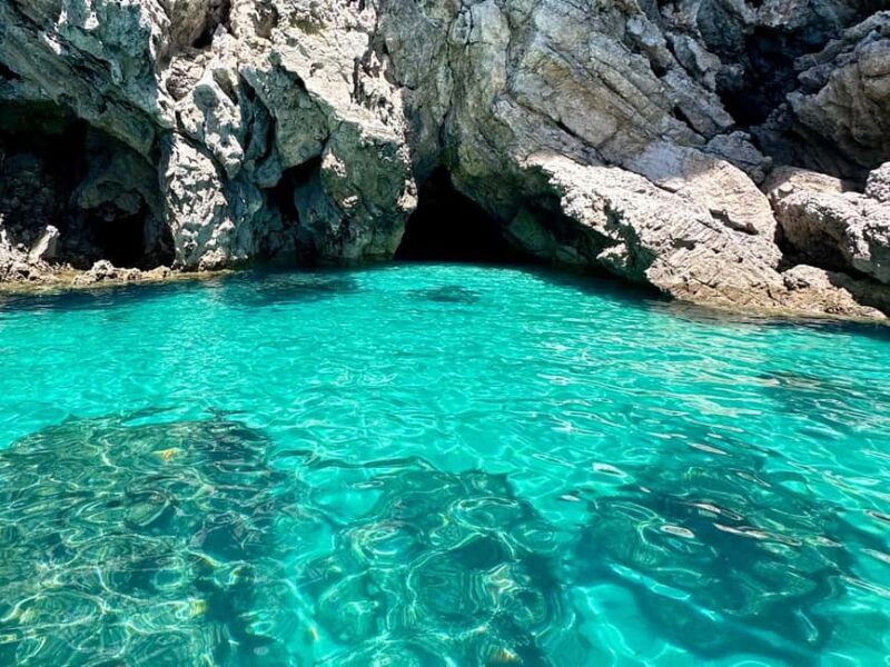 Sesimbra: Snorkeling Tour through Wild Beaches and Caves - The Perfect Audience