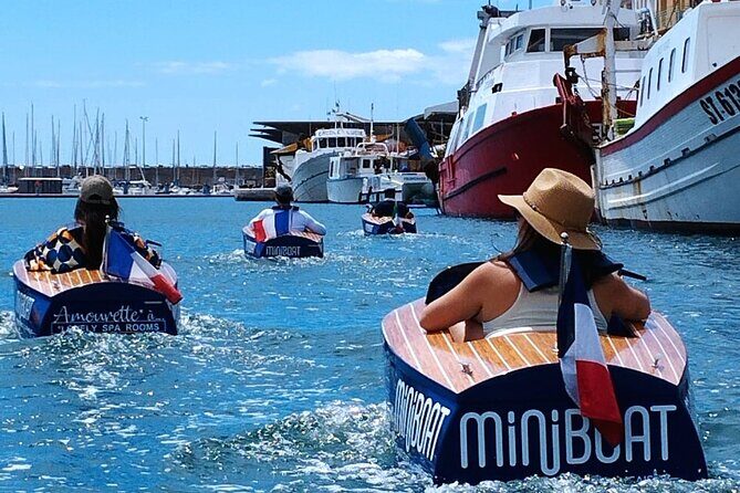 Sète by Miniboat Guided Ecotour - Who should consider this tour?
