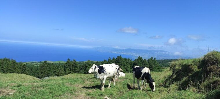 sete-cidades-half-day-jeep-tour-private