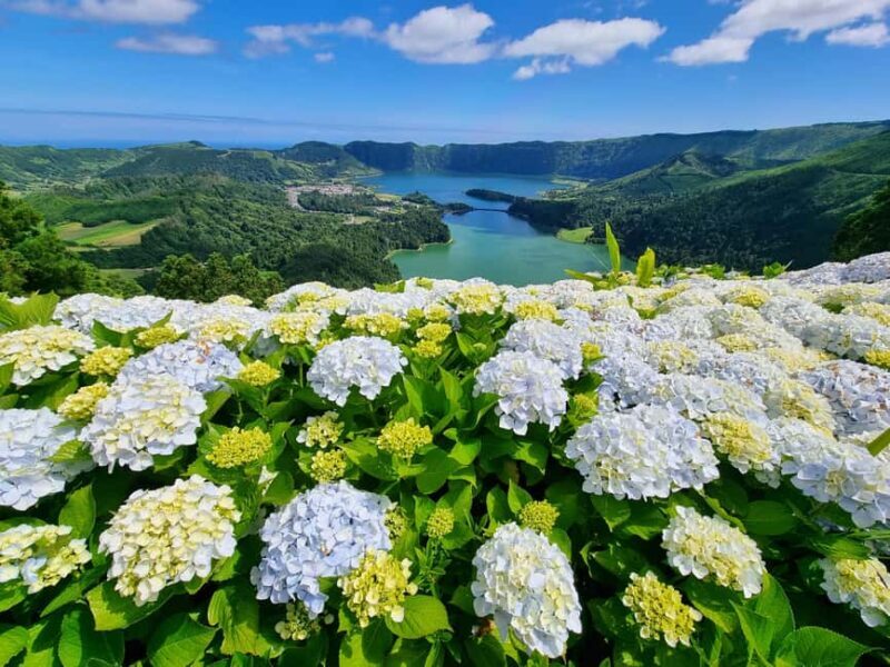 Sete Cidades / Lagoa do Fogo - Full Day Tour - Exploring the Azores: A Detailed Look at the Tour