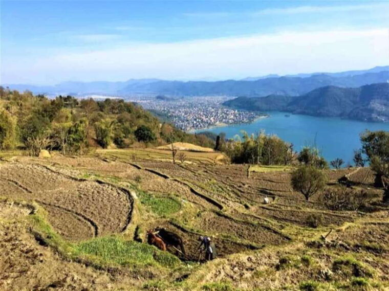 seti-george-and-thrilling-suspension-bridge-tour-at-pokhara