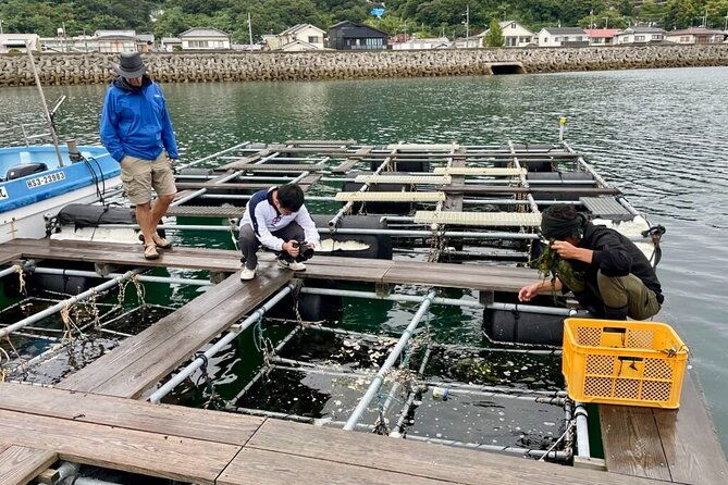 setouchi-fishing-and-culinary-adventure