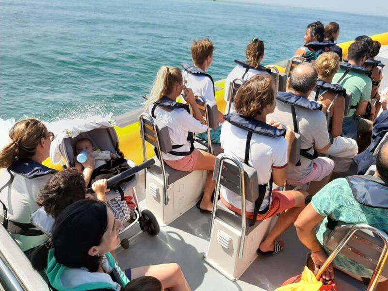 setubal-and-troia-dolphin-watching-and-arrabida-bays