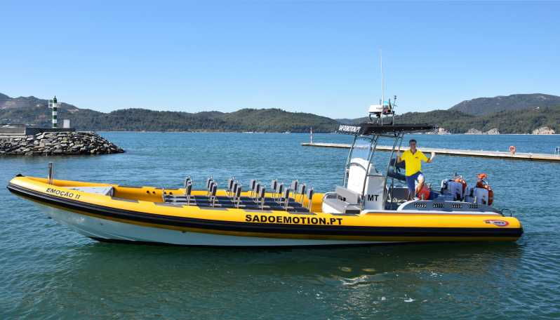 setubal-and-troia-dolphin-watching-and-arrabida-bays