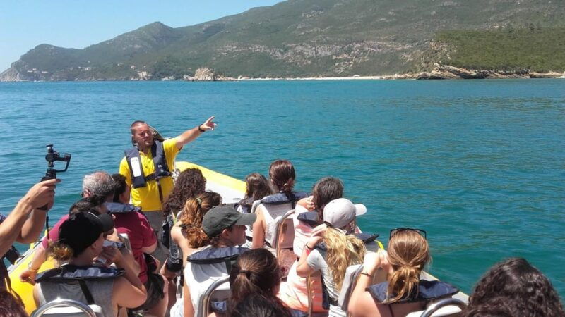 setubal-and-troia-dolphin-watching-and-arrabida-bays