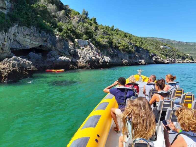 setubal-and-troia-dolphin-watching-and-arrabida-bays
