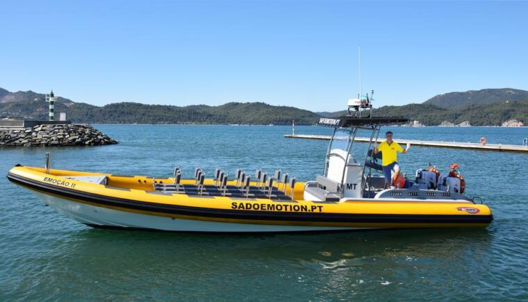 setubal-and-troia-dolphin-watching-and-arrabida-bays