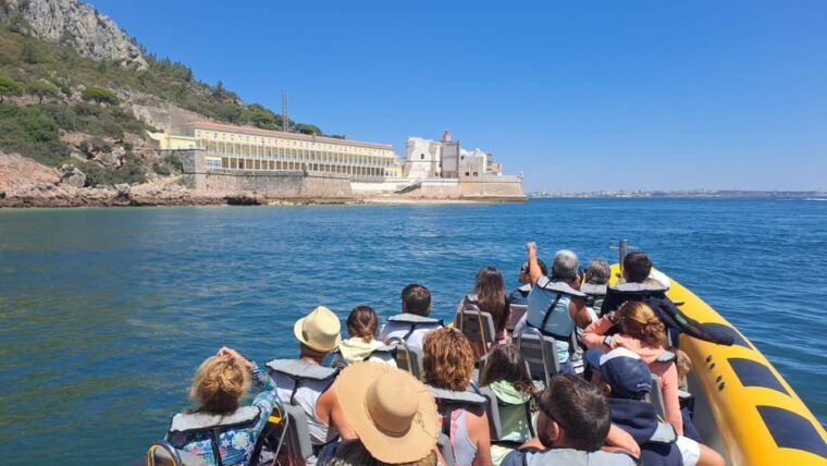setubal-and-troia-dolphin-watching-and-arrabida-bays