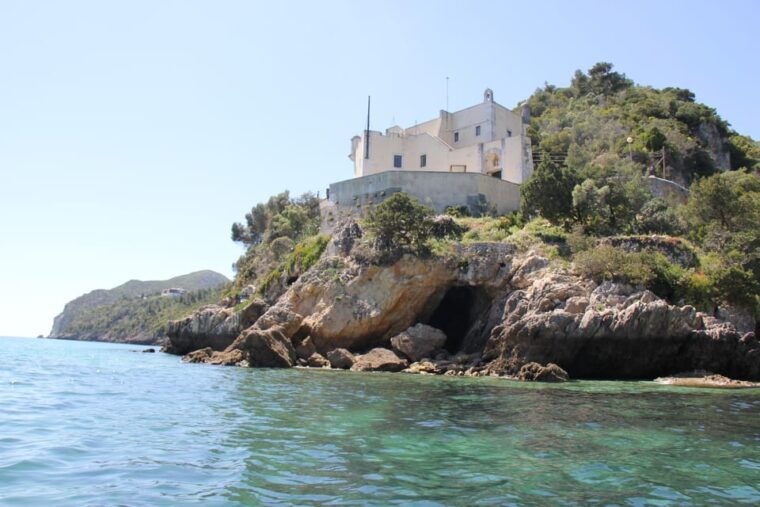 setubal-and-troia-dolphin-watching-and-arrabida-bays