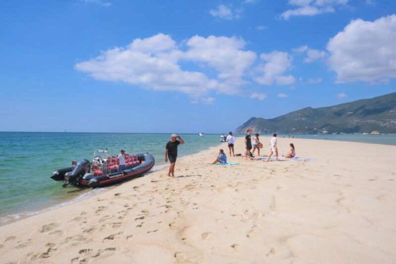 setubal-dolphin-watching-boat-tour-2