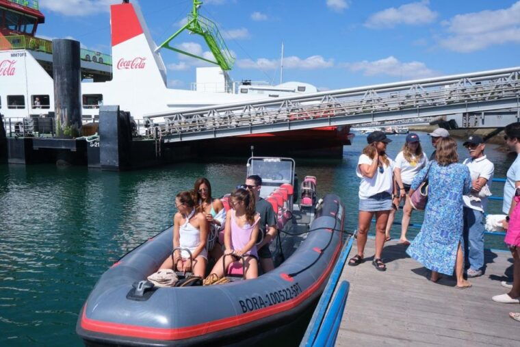 setubal-dolphin-watching-boat-tour-2