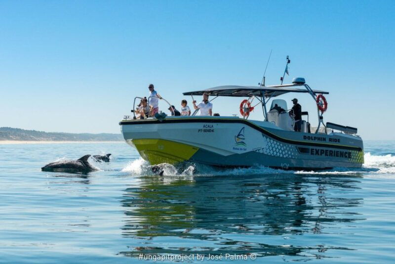 setubal-dolphin-watching-boat-tour