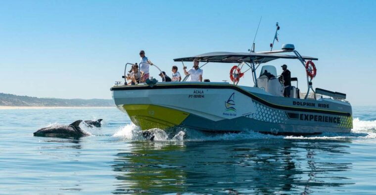 setubal-dolphin-watching-boat-tour