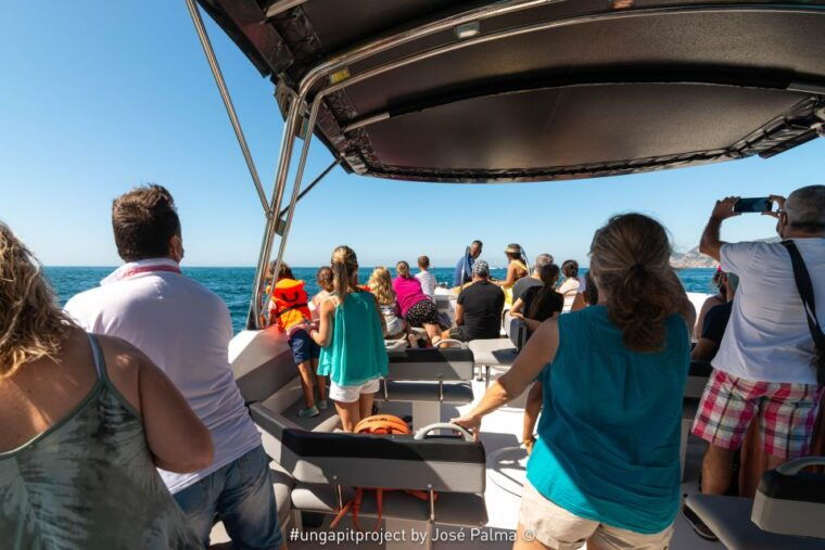 setubal-dolphin-watching-boat-tour