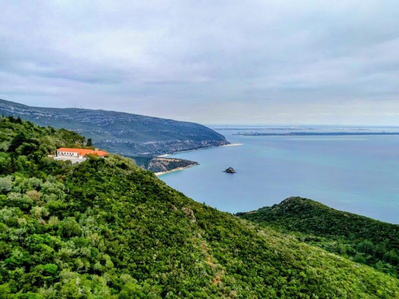 setubal-market-tiles-and-wine-from-lisbon