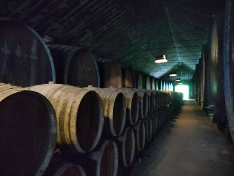 setubal-market-tiles-and-wine-from-lisbon