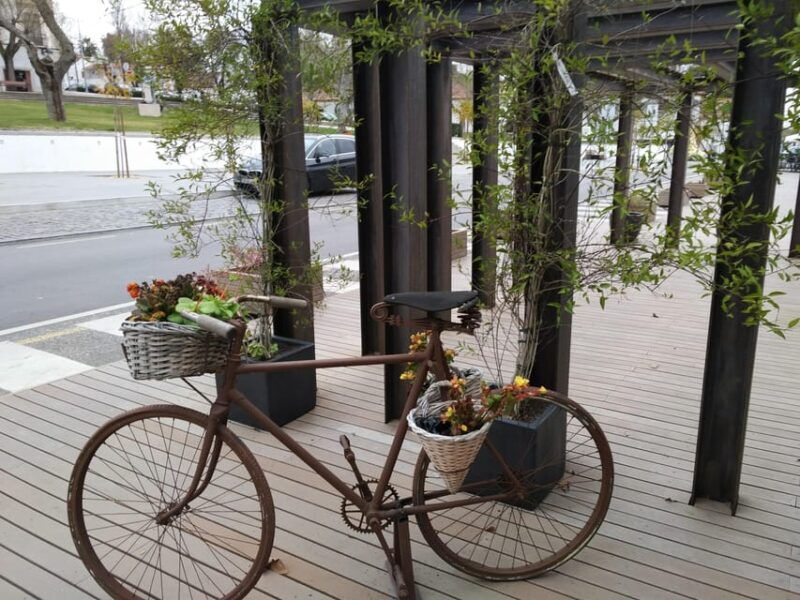 setubal-market-tiles-and-wine-from-lisbon