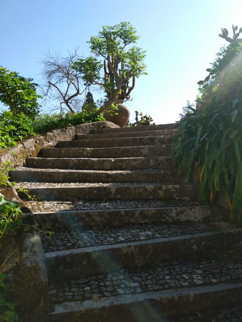 setubal-market-tiles-and-wine-from-lisbon