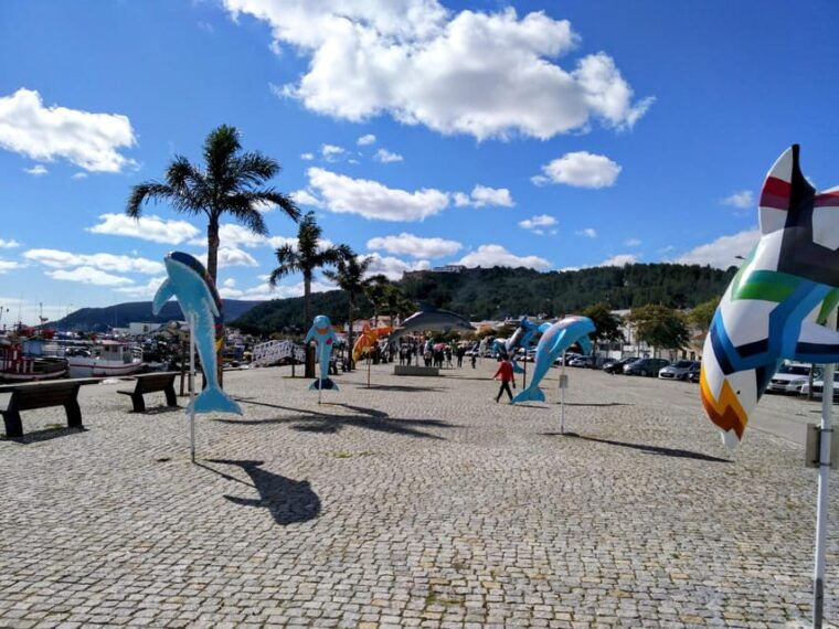 setubal-market-tiles-and-wine-from-lisbon