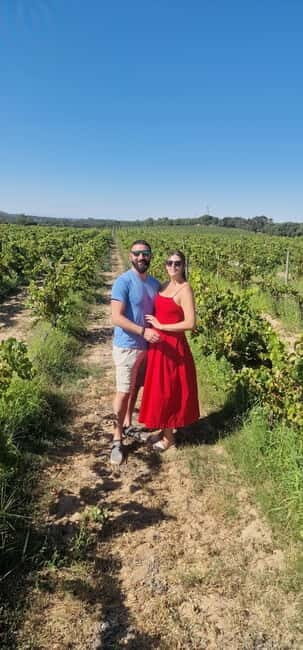 Setúbal: Private Tour with Wine Tasting and Tile Factory - Gastronomic Surprises & Practicalities  