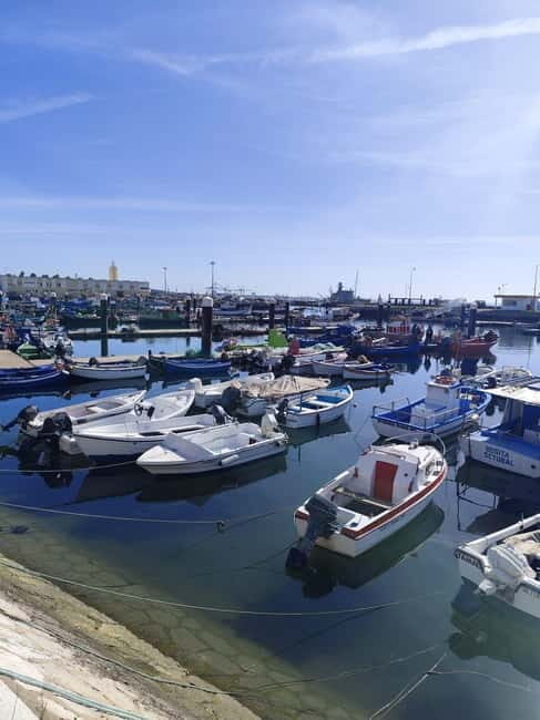 Setúbal: Private Walking Tour with Tastings - The Sum Up