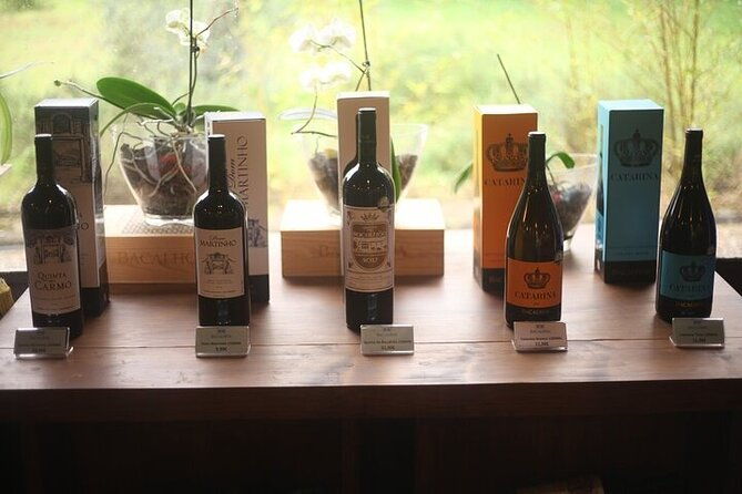 setubal-private-wine-tour-food-tasting-beaches-palaces-and-art