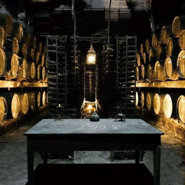 Setúbal Wine Tour: Discover the Moscatel Wine - Who Will Love This Tour?