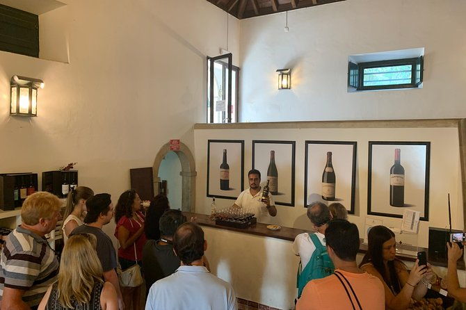 setubal-wine-tour-with-visit-and-tasting-at-2-wineries