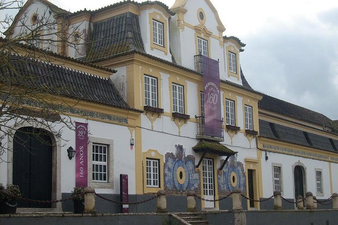 setubal-winery-private-tour-including-lunch-at-sesimbra-beach