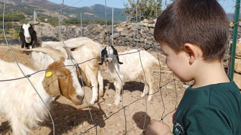 Seulo: Farm Tour with Local Product Tasting - Who Should Consider This Experience?