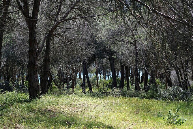 seven-hanging-valleys-expedition-with-lunch-in-the-vineyard