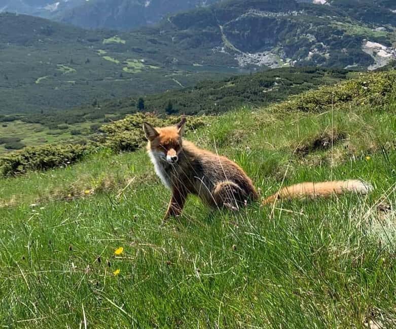 Seven Rila Lakes - Full Day Hiking Trip in the Rila Mountain - Authentic Insights from Reviewers