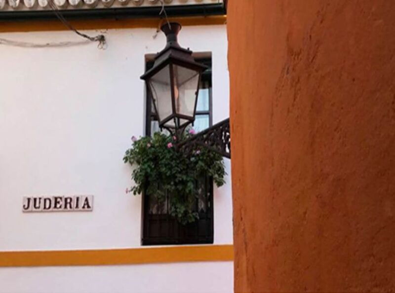 seville-1-hour-walking-tour-barrio-de-santa-cruz