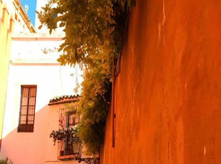 seville-1-hour-walking-tour-barrio-de-santa-cruz