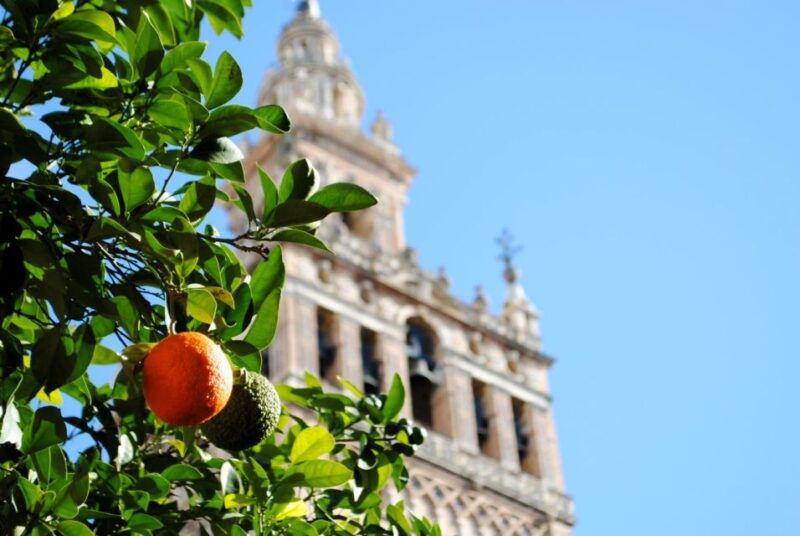 seville-4-hour-guided-walking-tour