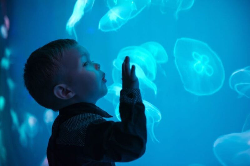 seville-aquarium-admission-ticket