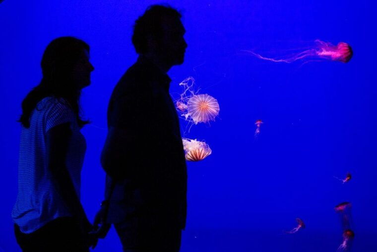 seville-aquarium-admission-ticket