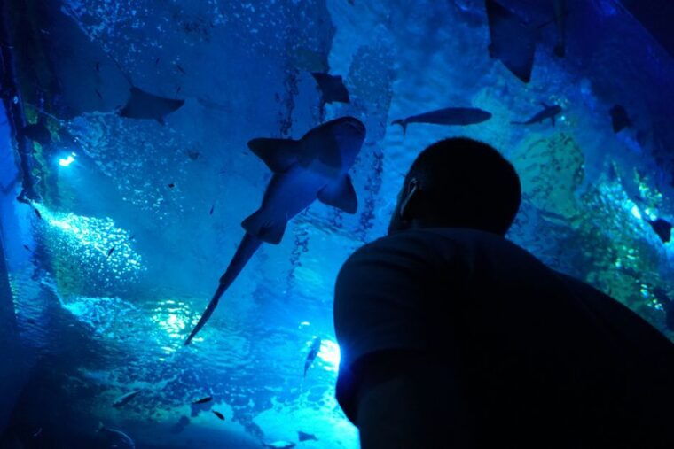 seville-aquarium-admission-ticket