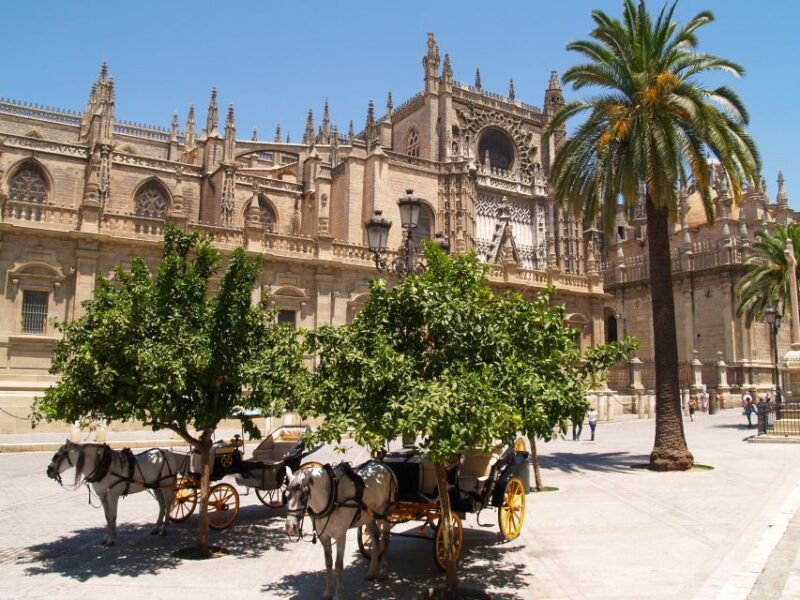 seville-cathedral-giralda-guided-tour-with-entry-tickets
