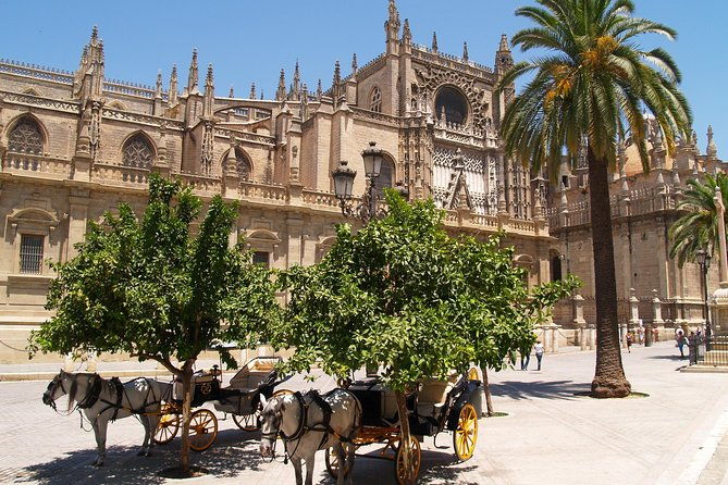seville-cathedral-giralda-guided-tour-with-tickets