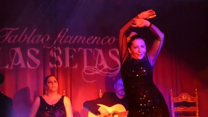 seville-flamenco-show-roof-dinner-with-cathedral-views